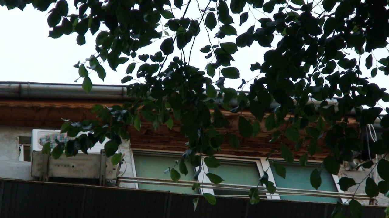 Studio French Embassy, Amzei Historic Center Bükreş Dış mekan fotoğraf